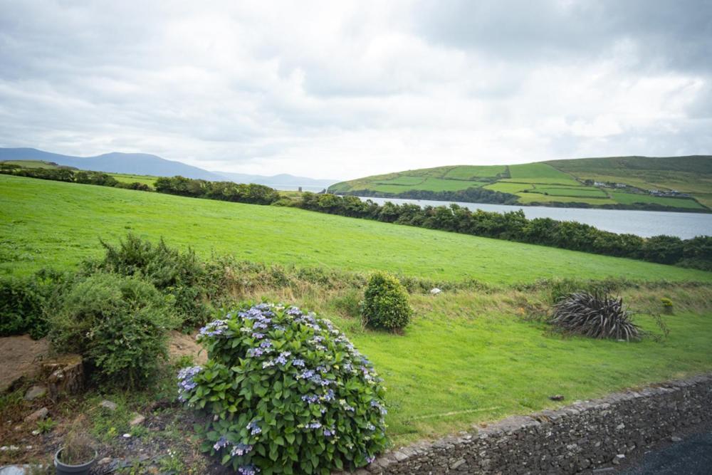 Hotel Half Door House Dingle Exterior foto